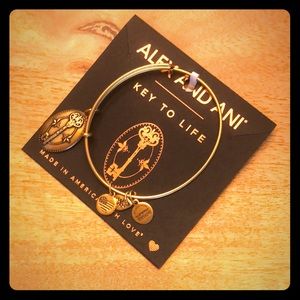 Alex and Ani - key to life bracelet